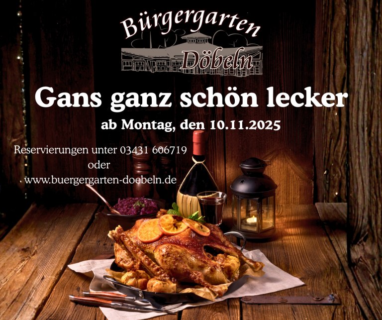 martinsgans-facebook-